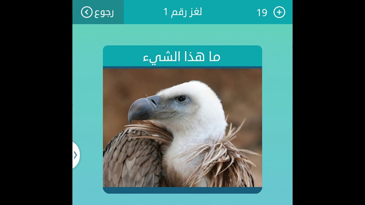 ماهذا الشيء