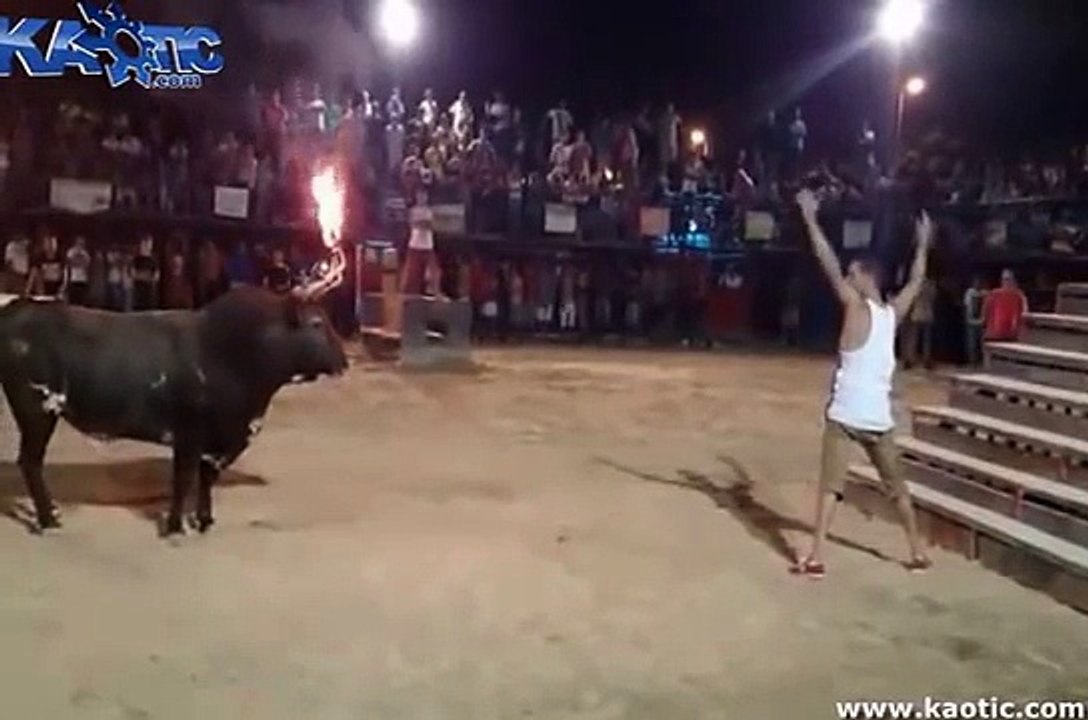 Idiota contro Toro