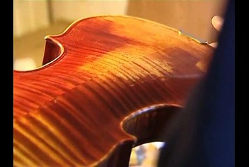 Musée Lutherie - Le Chant du Bois-SD