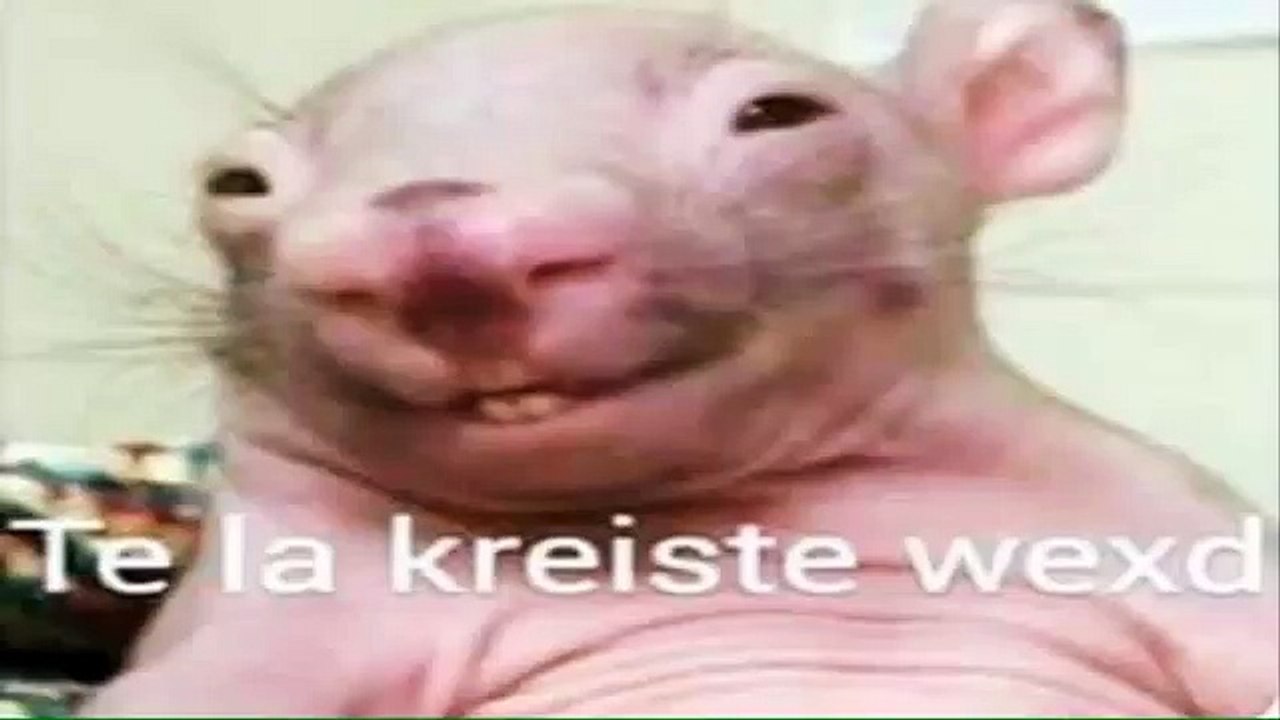 German garmendia se casa con Lenay (Lele)