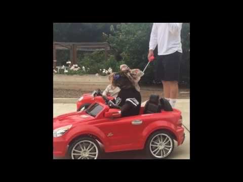 Little Kid in Shock and Awe as Dog Drives Past