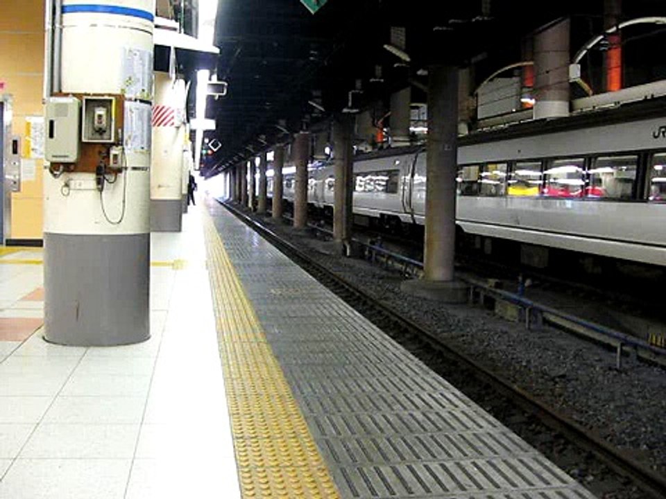 快速足利藤まつり1号　上野駅到着　2010-04-24
