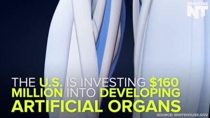 U.S. To Invest $160 Million In Artificial Organ Development