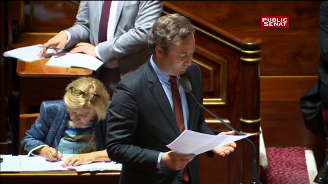 Loi travail: passe d'armes entre Jean-Baptiste Lemoyne et les sénateurs communistes