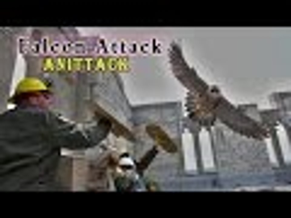 falcon attack best compilation HD