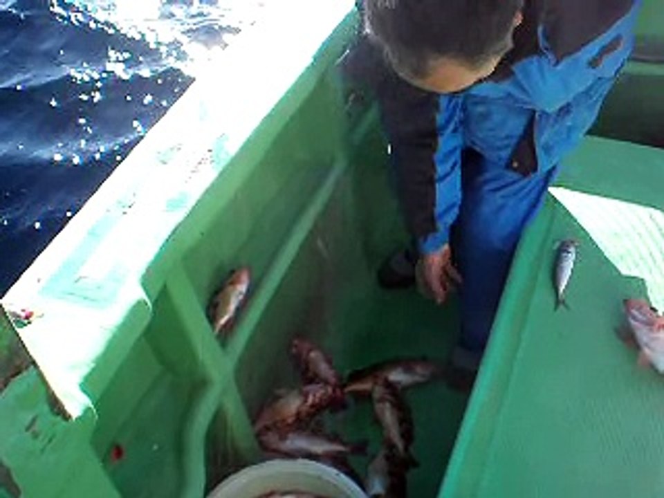 2011年12月25日 沖メバルが絶好調 翔丸 茨城県 那珂湊 その4