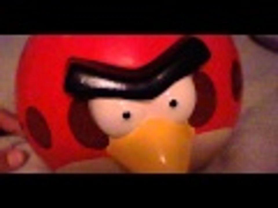 angry bird