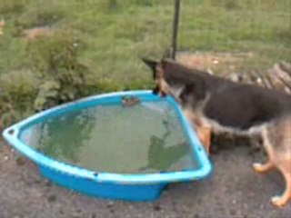 1er bain