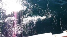 中古艇ドットコム　キングフィッシャー２７　走行動画