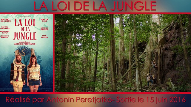 Faut-il aller voir L'Idéal de Frédéric Beigbeder? Le Face à Face ciné