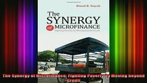 READ book  The Synergy of Microfinance Fighting Poverty by Moving beyond Credit Full EBook