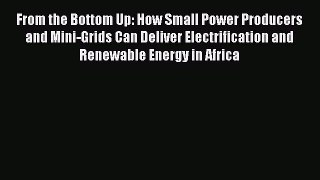 Read From the Bottom Up: How Small Power Producers and Mini-Grids Can Deliver Electrification