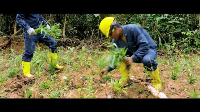 Amazonía Viva restituye territorios libres de contaminación a las comunidades