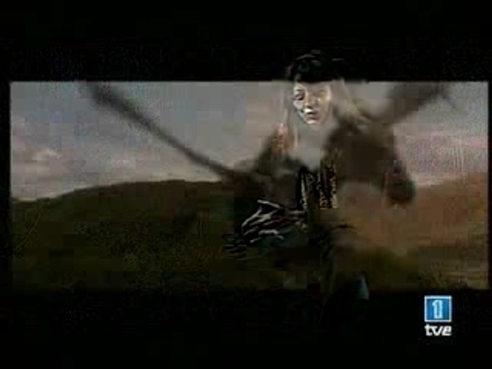 Harry Potter Parte 5 [www.eresungeek.com]