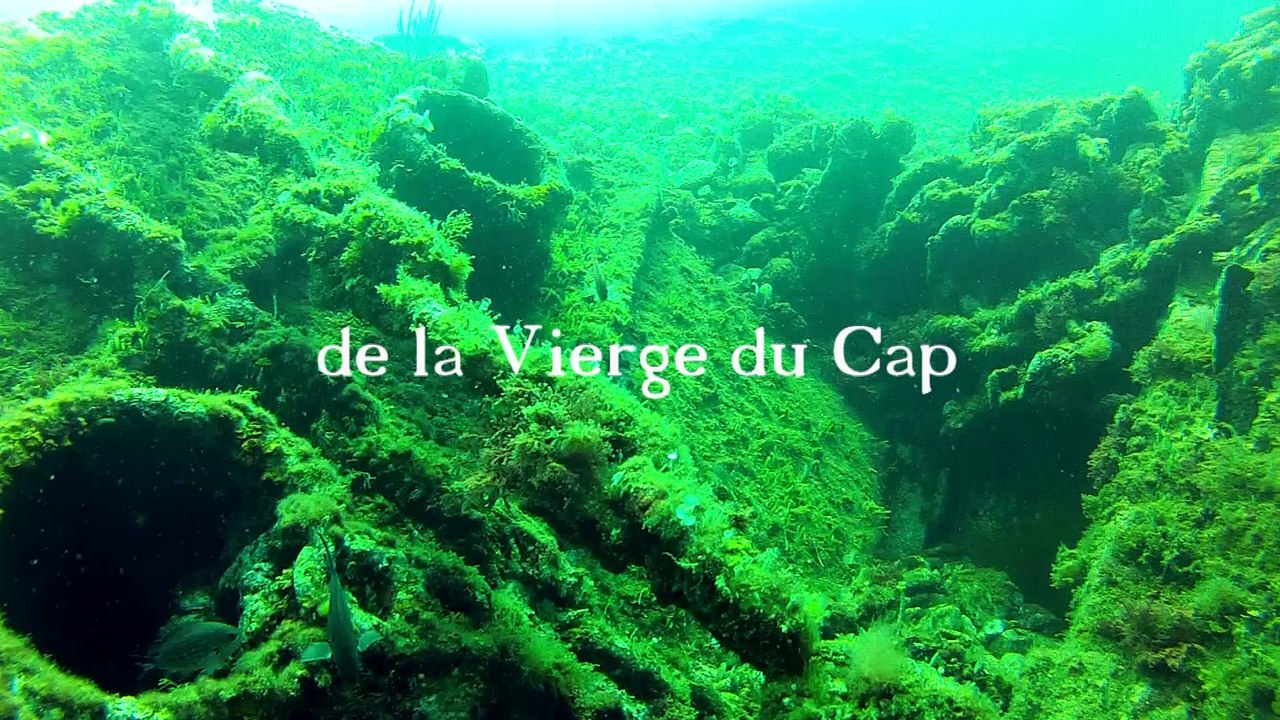 La Vierge du Cap (roman)