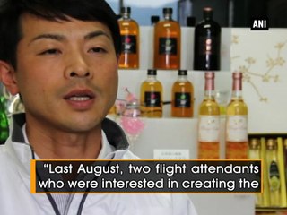 Japan’s plum drink, green tea gets wider recognition