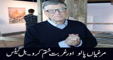 Bill Gates telling why chickens are the answer to ending poverty