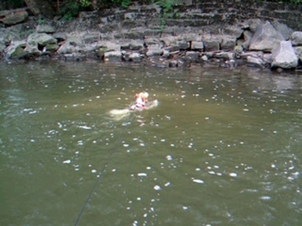 Sophie's A Swimma