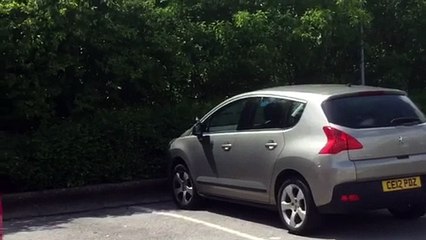 Bird fights with car wing mirror
