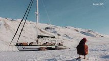 Meet the Chicken that's Sailing Around the World