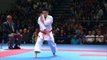 Ryo KIYUNA vs Ilja SMORGUNER. Male Individual Kata FINAL. 2014 World Karate Championships