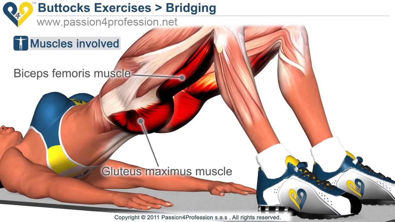 Exercise BEST Tone Buttocks - Reduce buttocks and thighs with Bridging