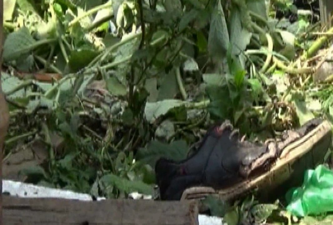 Con 19 puñaladas asesinan a un hombre en Pueblo Viejo, provincia de Los Ríos