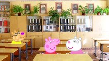 Играть С Свинка Пеппа | школьный спектакль | Cartoon Peppa Pig