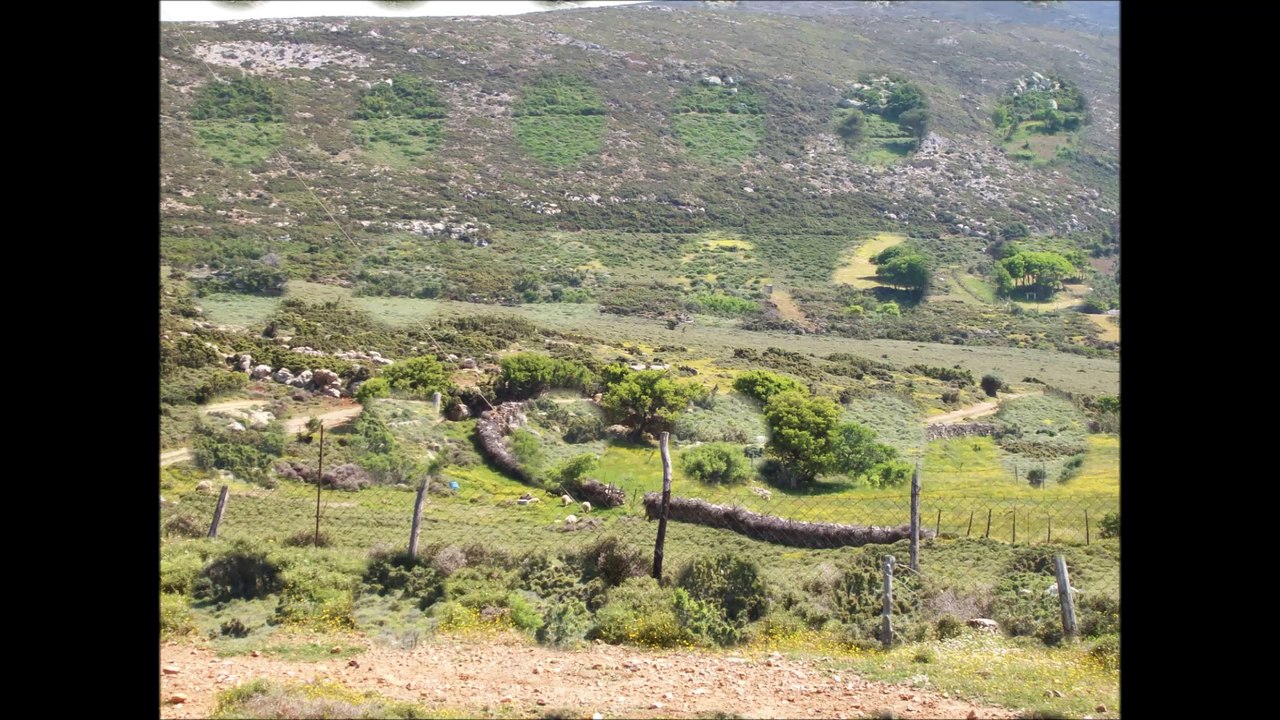 Εικόνες από Σκύρο - Pictures from Skyros (2)