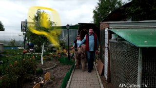 The Quint- Forget Dogs, This Russian Family Has a Cuddly Bear as a Pet