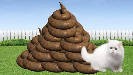 Mountain of poop | Kitten Rampage