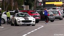 Mercedes-Benz SLS AMG w/ Akrapovic Exhaust System! LOUD Revs, Backfire & More!