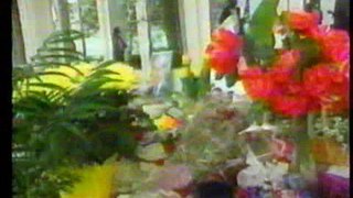 WAVE-TV 1994: 4/26/94 Part 2 Midday News