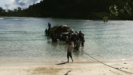 frolovtvЯ подумал Бурлаки, Федя подумал, что остров захватили пираты