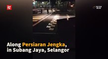 Raised pedestrian crossing draws flak among Subang Jaya motorists