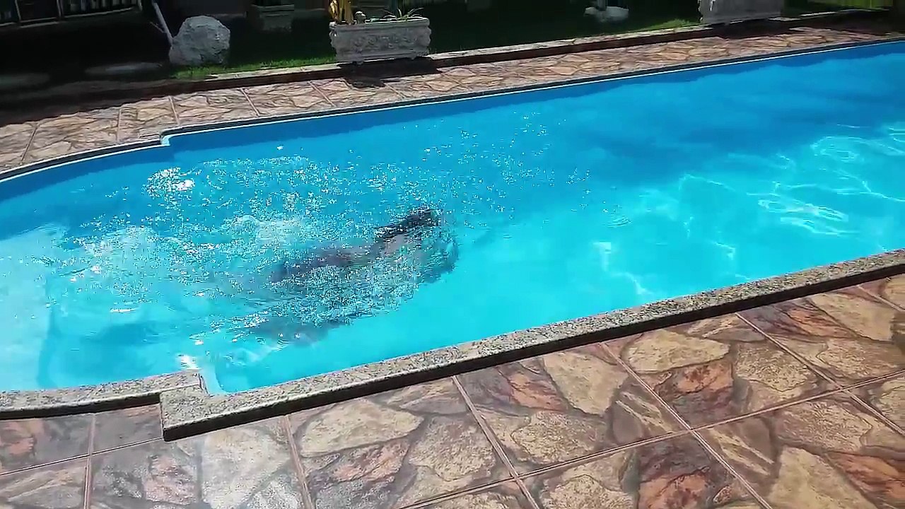 PISCINA COM ÁGUA VERMELHA?!
