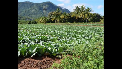 مدراس رحلة  سفاري  india madras Travel Safari