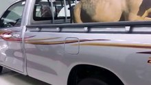 هايلوكس 2016- لكزس  مواصفات شركة بهوان ولا اجمل