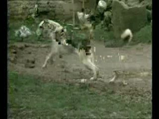 Cours de vente : la pratique