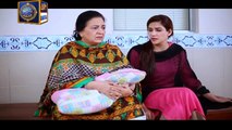 Guriya Rani Episode 231 on Ary Digital in High Quality 14th June 2016
