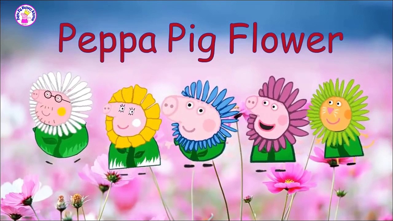 Finger Family PEPPA PIG Magic Costumes Flower | Nursery Rhymes For Children | Kids Songs