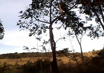 Taubike, Taubaté, Bike Soul nas trilhas, vida e alegrias,  Mountain bike, 36 bikers, pedalando, Soul SL 529, Soul SL 129, Taubaté, SP, Brasil, trilhas do tobogã invertido, 32 km, Marcelo Ambrogi, Mtb, junho, 2016, (35)
