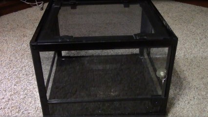 Foxxy Reviews: National Geographic Reptile Tank (Reptile Sanctuary 16x16x12)