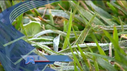 20160613 JORNAL DA RECORD 13/06/2016 SEGUNDA-FEIRA