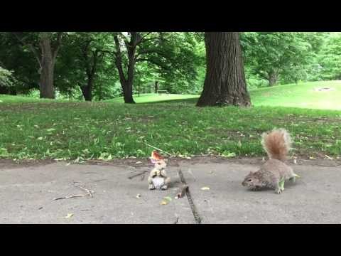 Squirrel Statue Confuses Real-Life Squirrels