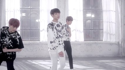 BTS For You Dance Ver. MV