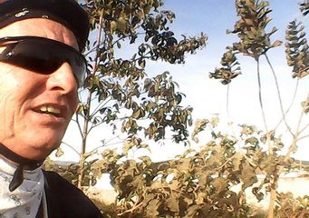 Taubike, Taubaté, Bike Soul nas trilhas, vida e alegrias,  Mountain bike, 36 bikers, pedalando, Soul SL 529, Soul SL 129, Taubaté, SP, Brasil, trilhas do tobogã invertido, 32 km, Marcelo Ambrogi, Mtb, junho, 2016, (55)