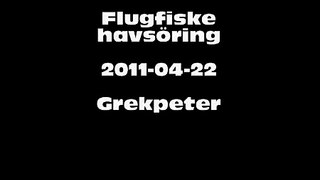 Flugfiske havsöring Vikhög 2011 04 22