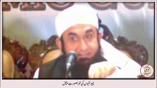 How ants spend their lives in organized manner by Maulana Tariq Jameel - YouTube