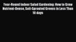 [PDF] Year-Round Indoor Salad Gardening: How to Grow Nutrient-Dense Soil-Sprouted Greens in